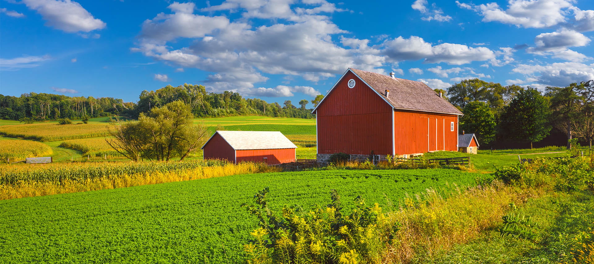 Sustainable Investing Pillar Advisory Group of Raymond James